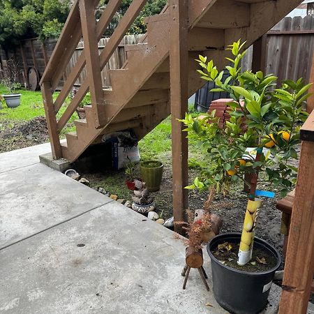 Bumblebee House Apartment Oakland Exterior photo