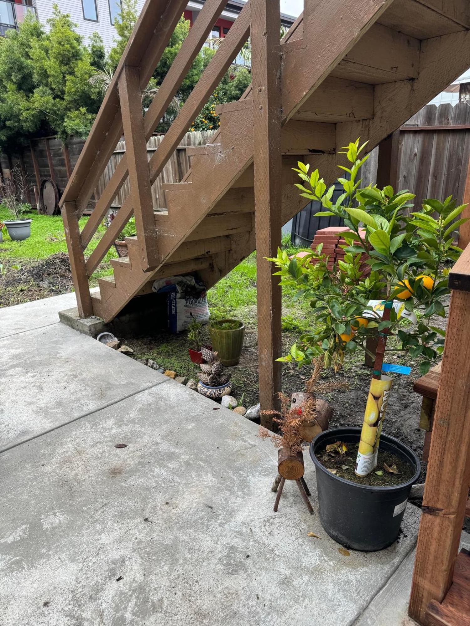 Bumblebee House Apartment Oakland Exterior photo